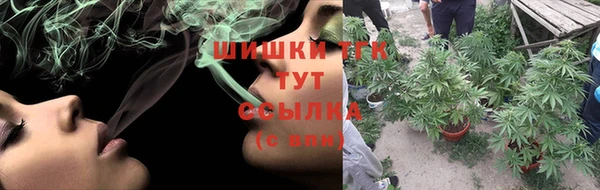 сатива Абдулино