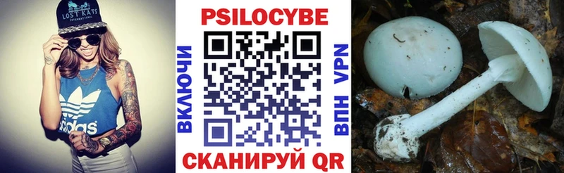 МЕГА зеркало Новосибирск Галлюциногенные грибы Psilocybine cubensis как найти закладки